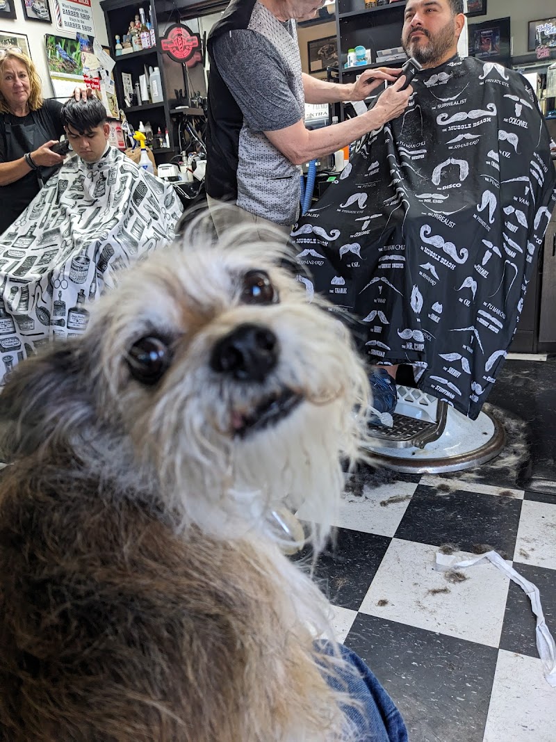 Sunny's Barbershop Bellingham - customer photo 7